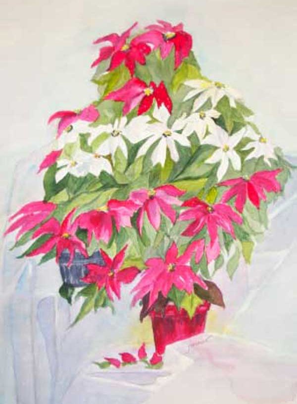 Poinsettias by Judi Moreo