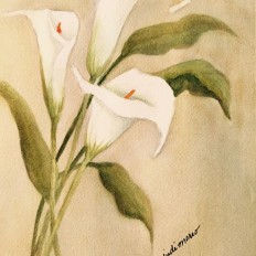 Easter Lilies