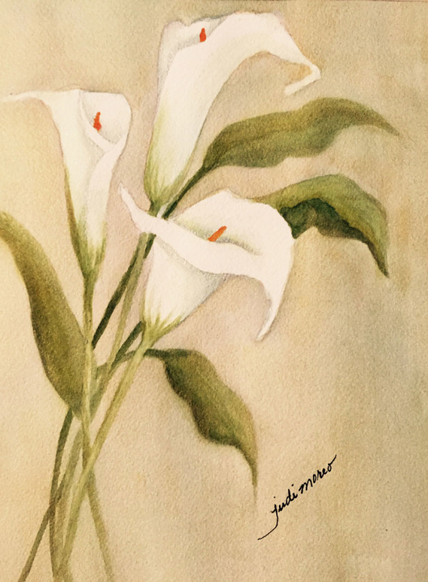 Cala Lily by Judi Moreo