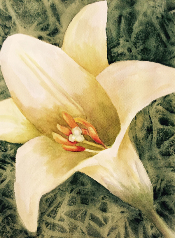 Easter Lily by Judi Moreo