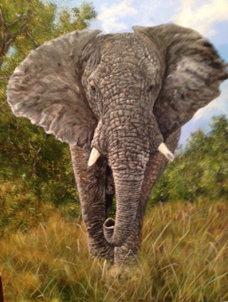 Elephant by Judi Moreo