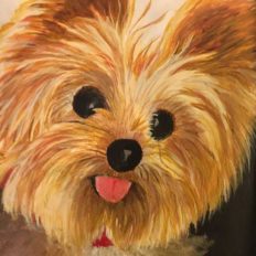 Yorkie