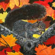 Autumn Squirrel